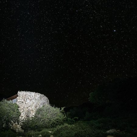 Sederkloof Lodge Studtis المظهر الخارجي الصورة