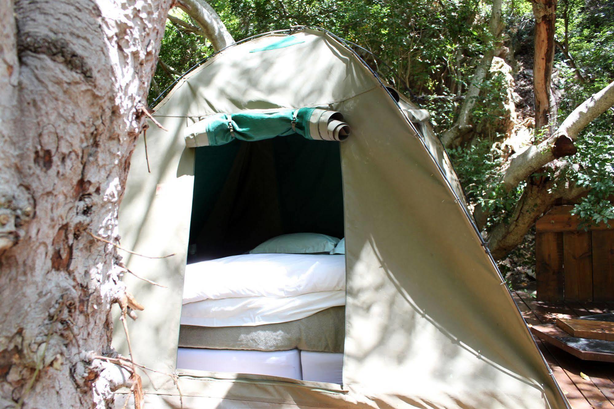Sederkloof Lodge Studtis المظهر الخارجي الصورة