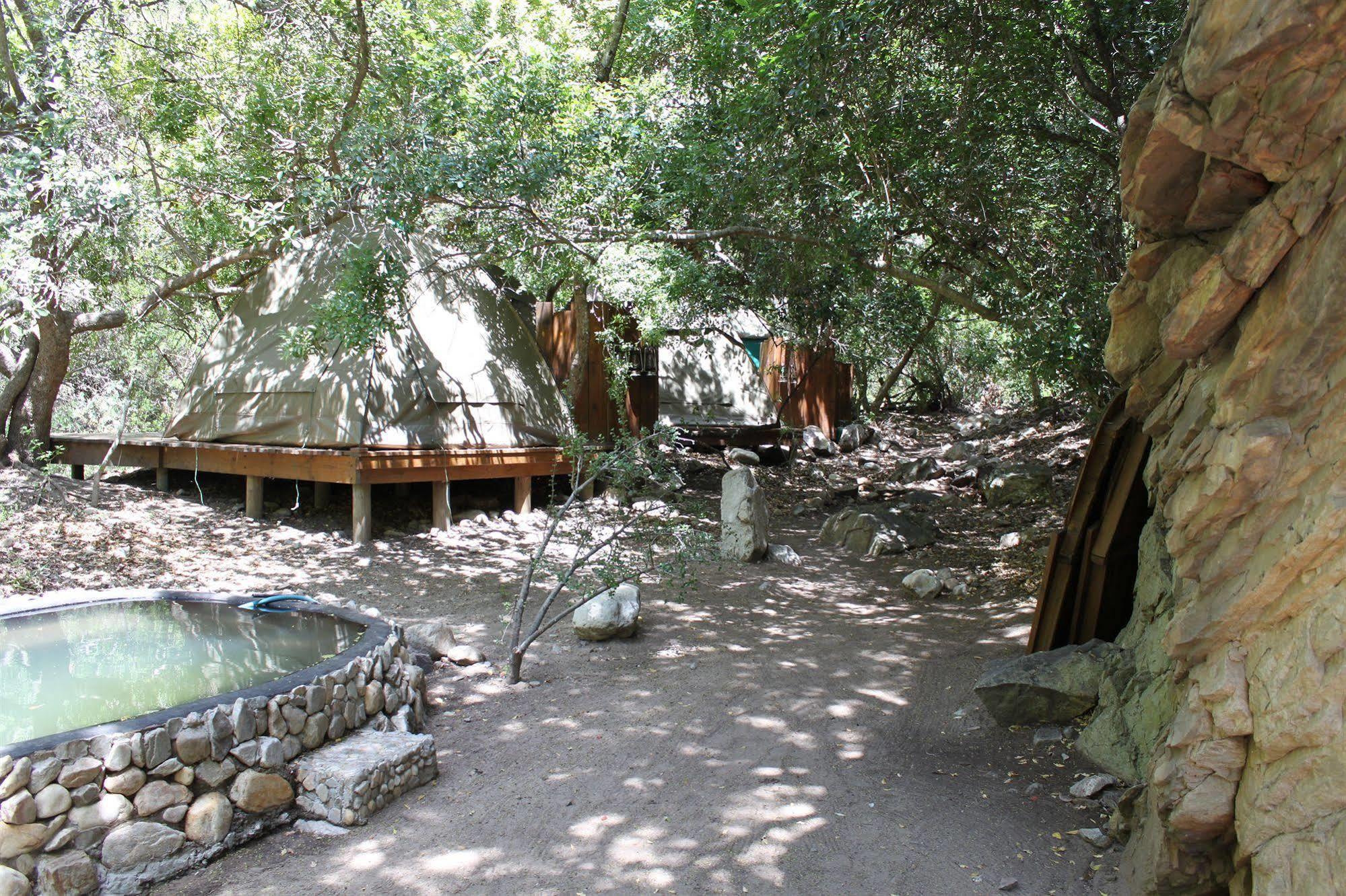 Sederkloof Lodge Studtis المظهر الخارجي الصورة